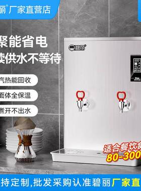 碧丽烧开水机器商用奶茶店吧台全自动步进式小型电开水机器大容量
