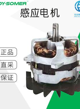 工厂直采德国感应电机多型号可询D-D-P-D-PR