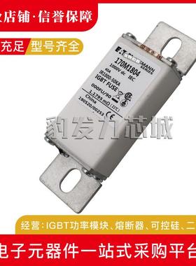 170M1760/1761/1762/1770/1771/1772/1773/1774/1775-1781熔断器