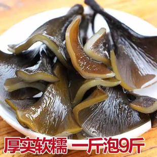 海带头干货干海带根头蒂厚特级厚片野生免洗海菜头非盐渍干袋装