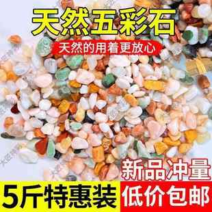 铺在花盆上的石子白玉兰花种花专用铺面石养花彩色小陶粒花雨石