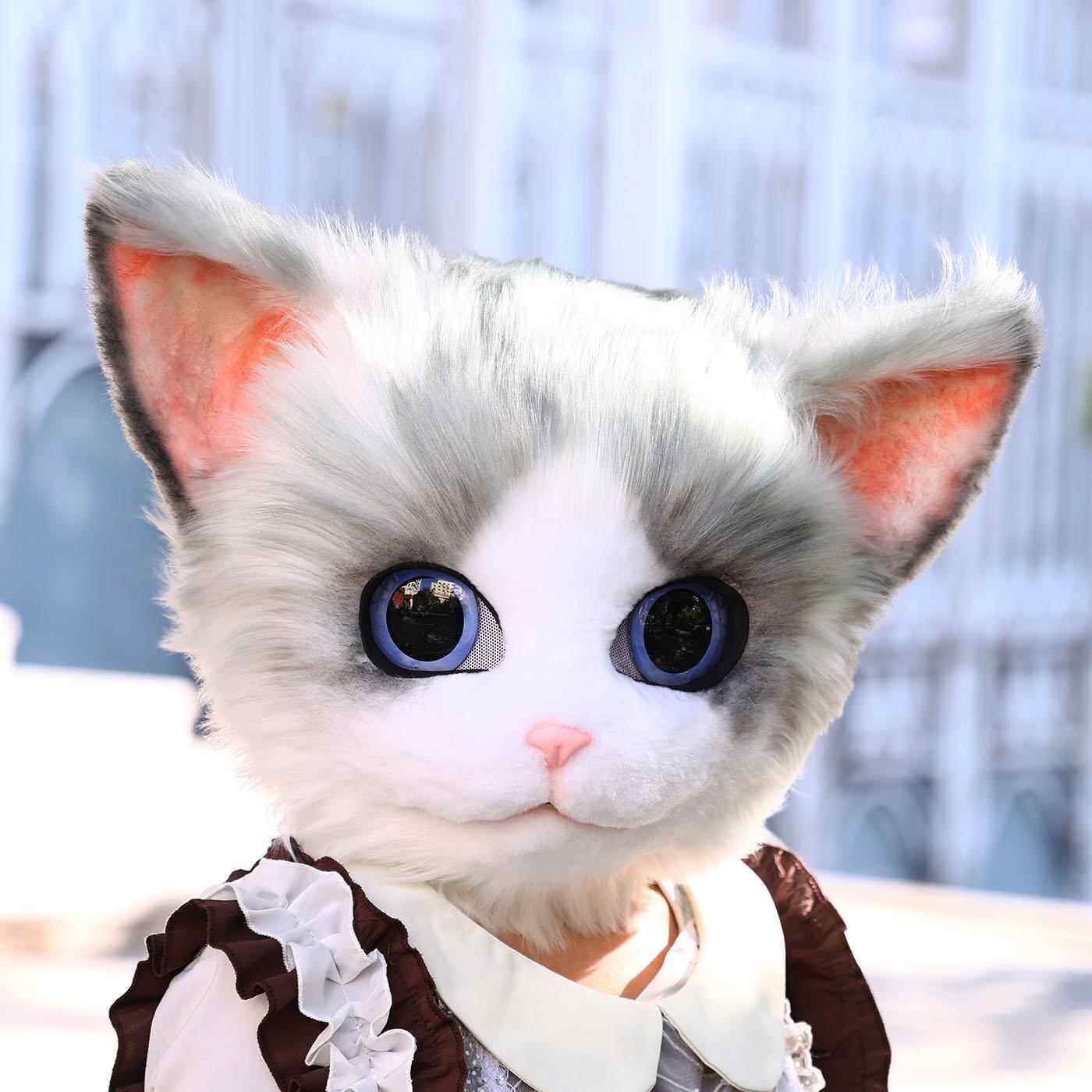 可爱布偶猫头套可穿戴漫展演出cos三花猫兽装头