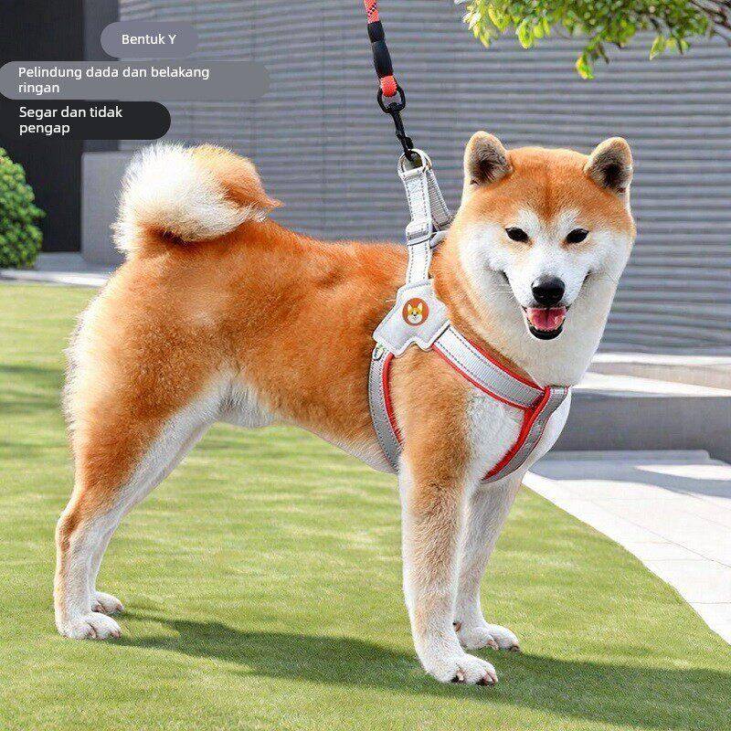 新款狗狗牵引绳胸背带背心式宠物遛狗绳中小型柴犬犬法斗柯基脖圈