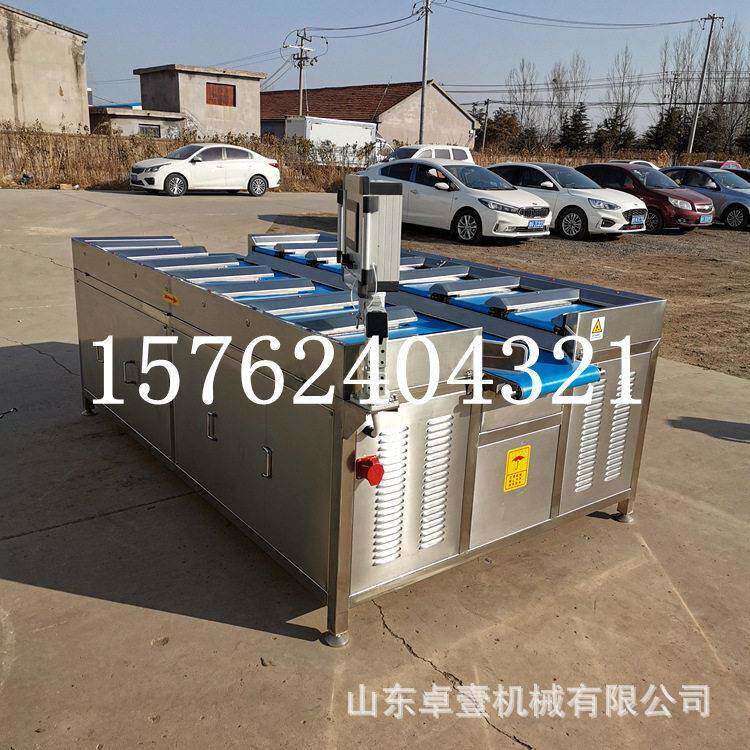商用鸡排重量组合分选机配重秤海参人参重量组合秤全自动配重称