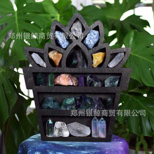 Cat Wall Crystal Shelf客厅置物储存货架 蜜蜂 花盆水晶展示架