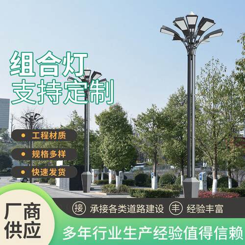 公园广场户外led景观灯玉兰路灯市政工程中式风格大型组合灯供应