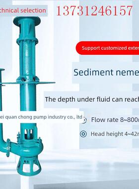 液下渣浆泵SP抽沙泵40PV 65QV 80ZJL-33耐磨立式泥浆泵工业离心泵