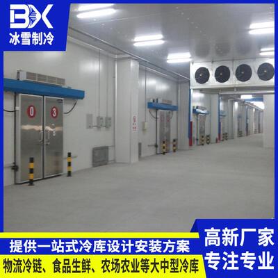农场蔬菜保鲜库冷库全套设备大型水果食品低温冷冻库速冻库安装