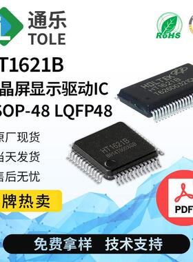 HT1621BHT1621SSOP-48LCD液晶屏显示驱动ICTM1621BTM1621