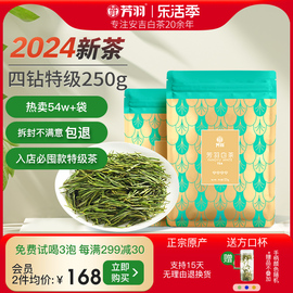 芳羽白茶2024新茶安吉白茶，四钻特级茶叶250g散装绿茶叶高山春茶