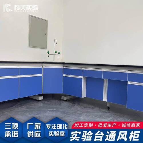厂家供应学校实验室操作工作台化学物理实验台柜科学院实验边台