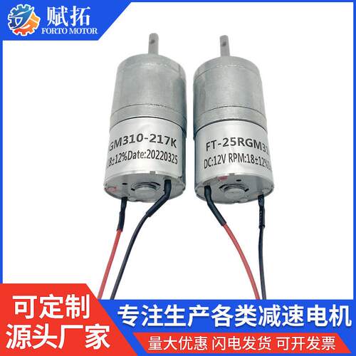 FT-25速RG310微型直流直齿齿轮减电机机FT-25RGM器人马达摇奶器电