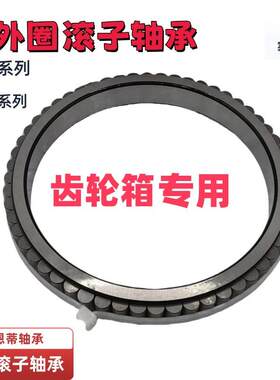 无外圈圆柱滚子轴承CRB130738齿轮箱专用轴承 减速机轴承 NKE轴承