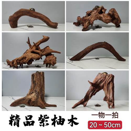 淡水性笔记50CM以内沉木鱼缸造景天然拱桥树桩乌龟晒台紫柚木免煮