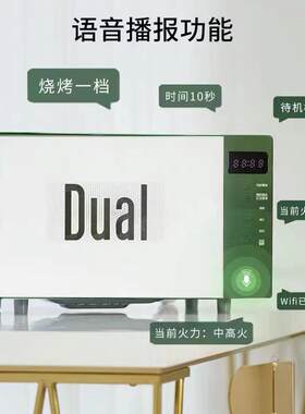 帝而Dual小型20L智能微波炉烤箱语音家用微烤一体机DIK41G-HW蒸烤
