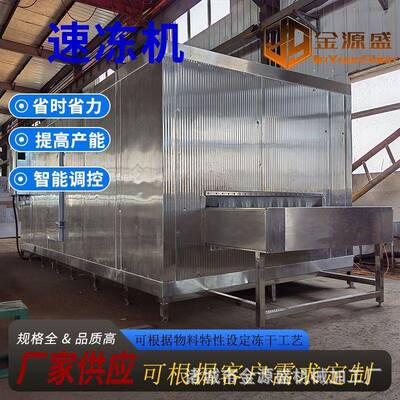耗儿鱼全自动单冻机高眼鱼隧道式速冻机马面鱼连续式挂冰机商用