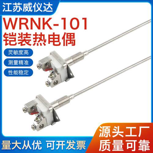 WRNK-101K型铠装热电偶芯简易式温度感测器高温测温监视器0-1100