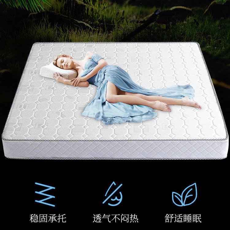 椰棕弹簧床垫家用出租房偏硬可折叠20cm厚双人1.8/1.5/2.0米床垫图片