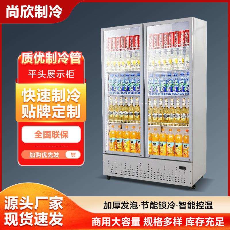 商用大容量平头展示柜商超酒水饮料冷藏柜保鲜冰箱支持验厂