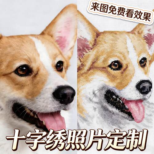 十字绣来图定制线绣diy手工套件客厅卧室2026新款真人照片自己绣