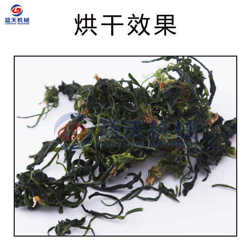芥菜干烘干机 空气能水芥菜盖菜脱水热泵烘干房 全自动芥菜烘干箱