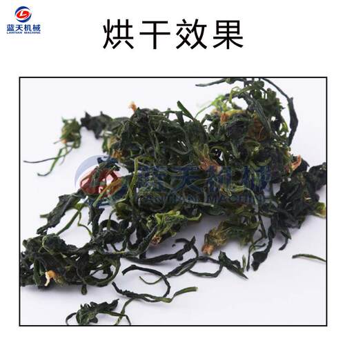 芥菜干烘干机 气能水菜芥盖菜脱水热空泵烘干房 LT-JCJ全自动干芥