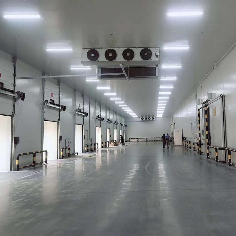 智能温控小型冷库安装环保优秀按需求制作海鲜冷冻库