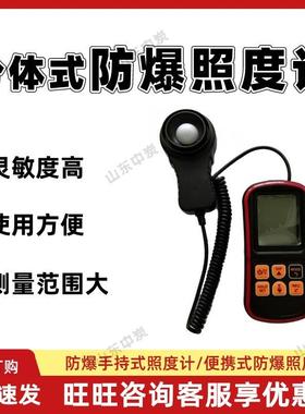 温度误差小防爆照度计重量轻防爆照度计JBD-F分体式防爆照度计