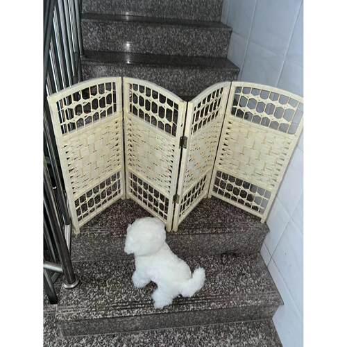 宠物狗狗围栏栅栏栏杆室内防挡猫门栏猫咪拦狗笼子大小型犬隔离门