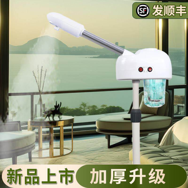 泰东热喷仪美容院专用蒸脸器打开 毛孔非排毒热喷仪器蒸脸仪蒸气