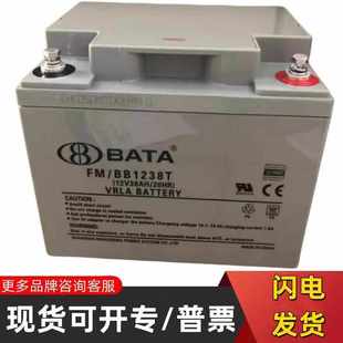鸿贝铅酸蓄电池FM 12V38ah适用于消防主机光伏发电机房等 BB1238T