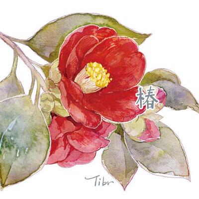 基研所 椿 和纸/PET胶带 山茶2 玛仕金承制 10米卷