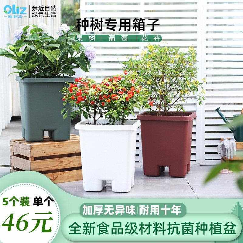 蓝莓百香果树盆无花果专用盆加厚树脂塑料花盆适合室外种植果树盆