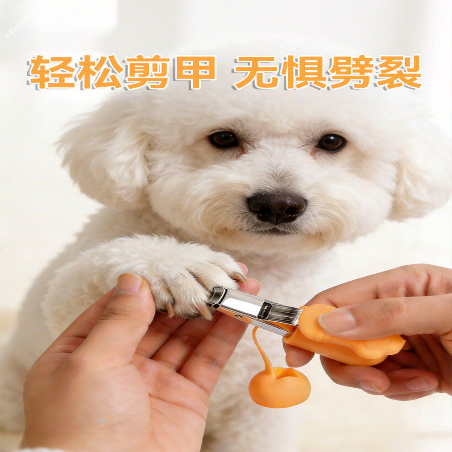 宠物小卫士猫咪狗狗指甲剪不锈钢猫咪防劈甲猫狗通用宠物指甲剪