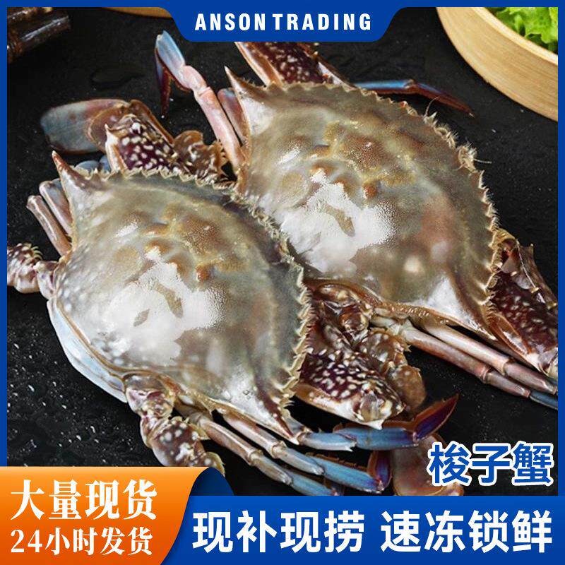 梭子蟹鲜活冷冻新鲜特大螃蟹海鲜水产冷冻海蟹白蟹飞蟹顺丰批