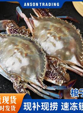 梭子蟹鲜活冷冻新鲜特大螃蟹海鲜水产冷冻海蟹白蟹飞蟹顺丰批