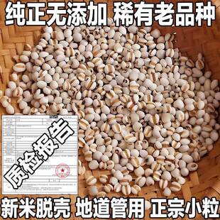 贵州兴仁小薏米仁新货小薏米新米小薏仁米糯薏苡仁正宗意米仁煮粥