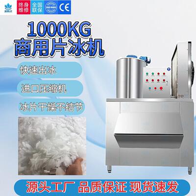 大型风冷工业片冰机1000KG/24h鳞片冰果蔬保鲜远洋捕捞工厂直销