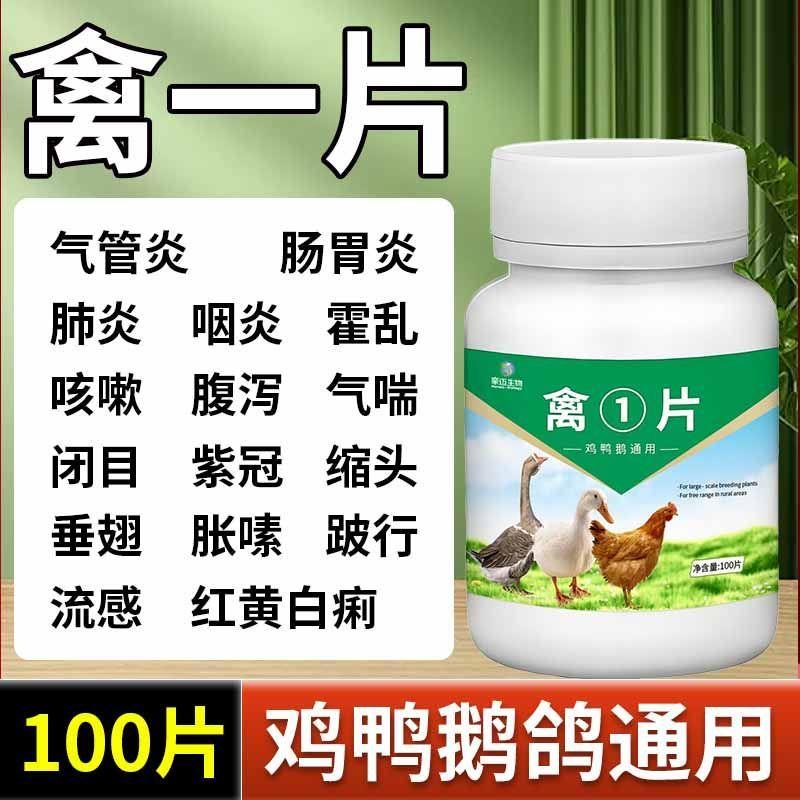 正品禽一片鸡鸭鹅鸽感冒