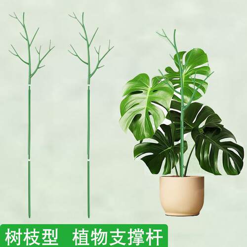 植物支架龟背竹支撑杆文竹支撑架攀爬架防倒伏固定柱园艺爬藤花架