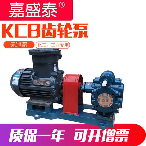 cb齿轮泵CB-633大流量润滑油输送油泵铸铁双向齿轮油泵