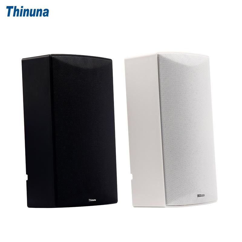 ThinunaIP-9614AOIIIM/IP-9614AOIIIS校园网络音箱音响设备