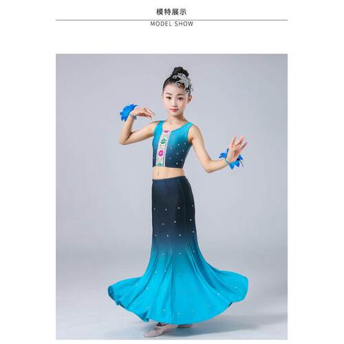 高档新傣族舞蹈出服孔雀舞舞裙老师推荐民族款蹈演练功练习裙等级