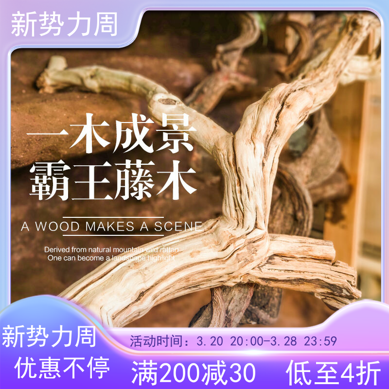 霸王藤木热带雨林爬宠造景素材藤条藤蔓爬虫箱宠物蜥蜴蛇箱景观