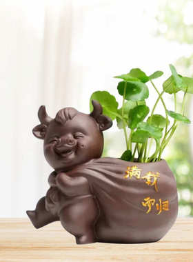 迷你花盆陶瓷水培花器绿萝桌面花插玻璃水培办公厅茶创意水培花盆