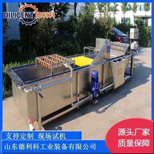 喷淋式瓜果气泡清洗设备辣椒清洗机预制菜加工设备果蔬清洗机