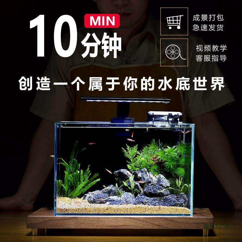 鱼缸客厅小型生态造景全套桌上小鱼缸桌面电视柜旁家用免换水超白