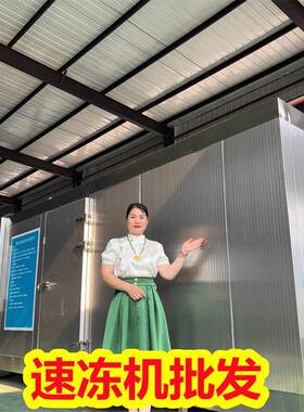 低温量产速冻隧道 牛羊肉加工线 羊肉卷速冻设备操作步骤