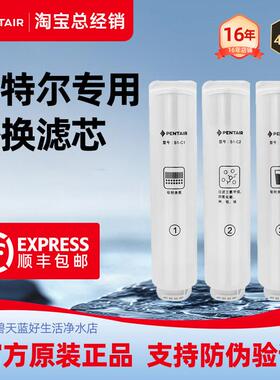 滨特尔净水器V3000-a s2000a v70000a v15-1反渗透纯水直饮机滤芯