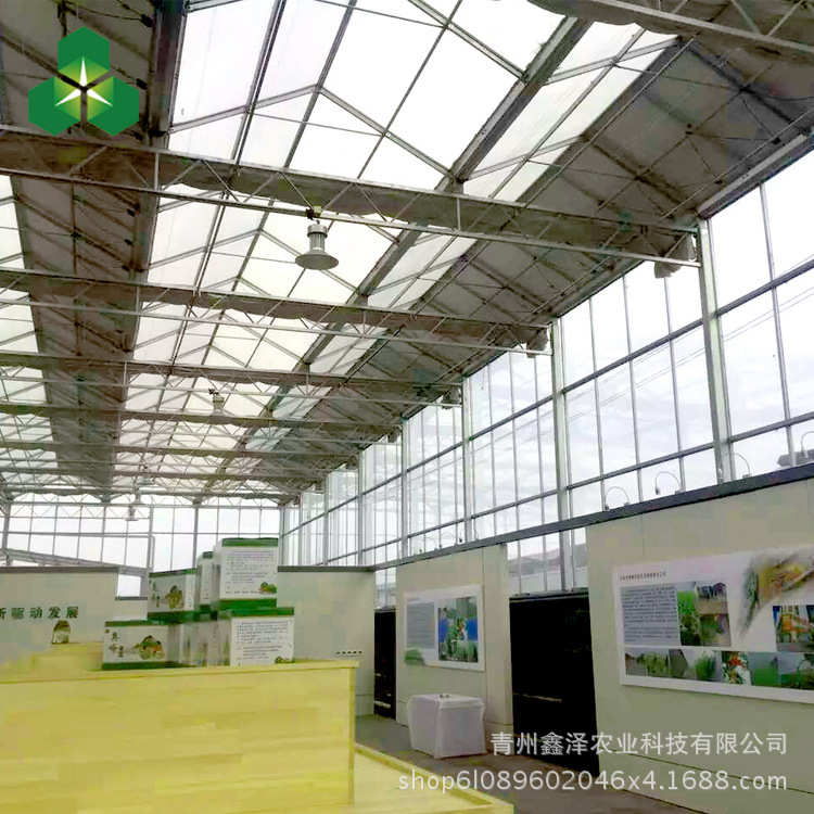 阳光板温室大棚 温室大棚 阳光板温室花房 PC阳光板温室